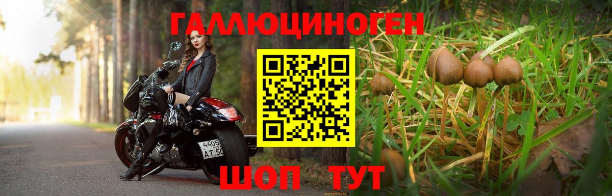 Псилоцибиновые грибы Magic Shrooms  Псилоцибиновые грибы Magic Shrooms  Вход с VPN  Новозыбков 